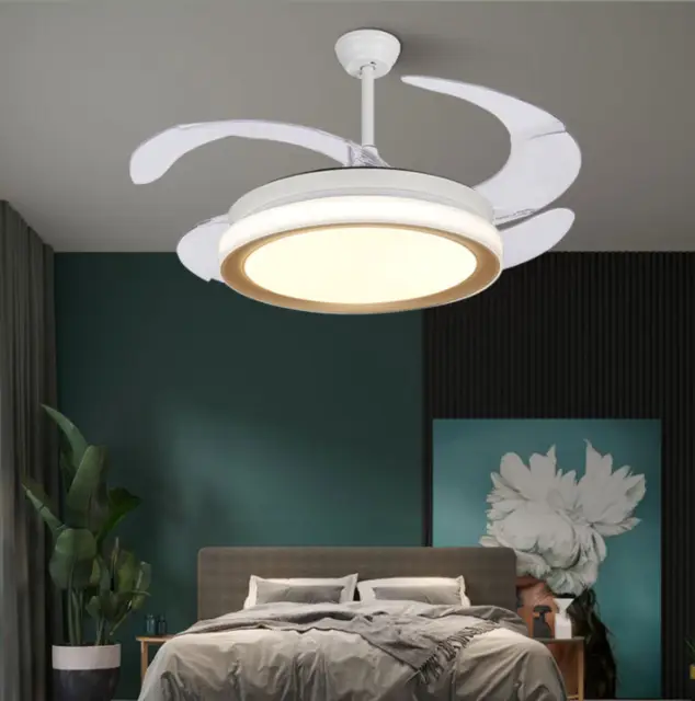 Modern 3 blade modern Remote control Ceiling Fan Led Lights