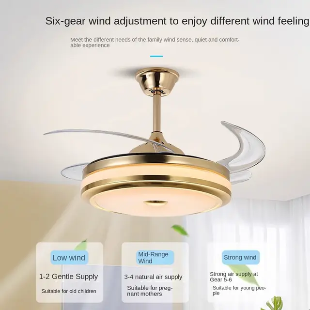 Pendant Light socket ceiling fans with led lights