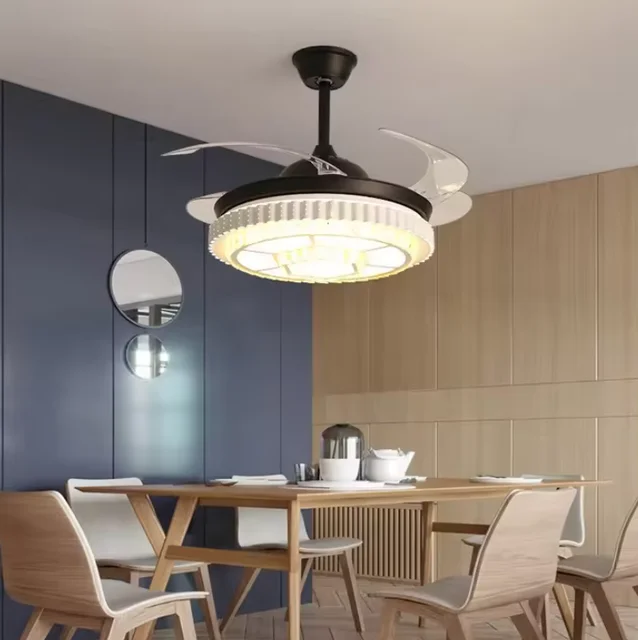 Black modern fan light