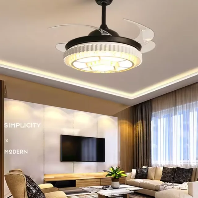 Black modern fan light