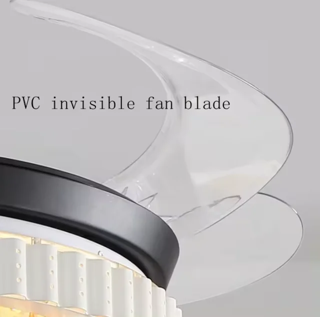 Black modern fan light